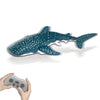 A blue and white shark toy is shown floating on a surface next to a hand holding a remote control.