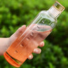 16oz Glass Water Bottle with Secure Lid