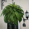 Lifelike Artificial Boston Fern with 21 Detailed Leaves