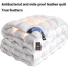 Premium White Goose Down Comforter