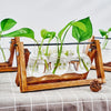 Tabletop Glass Planter Propagation Station with Wooden Rack