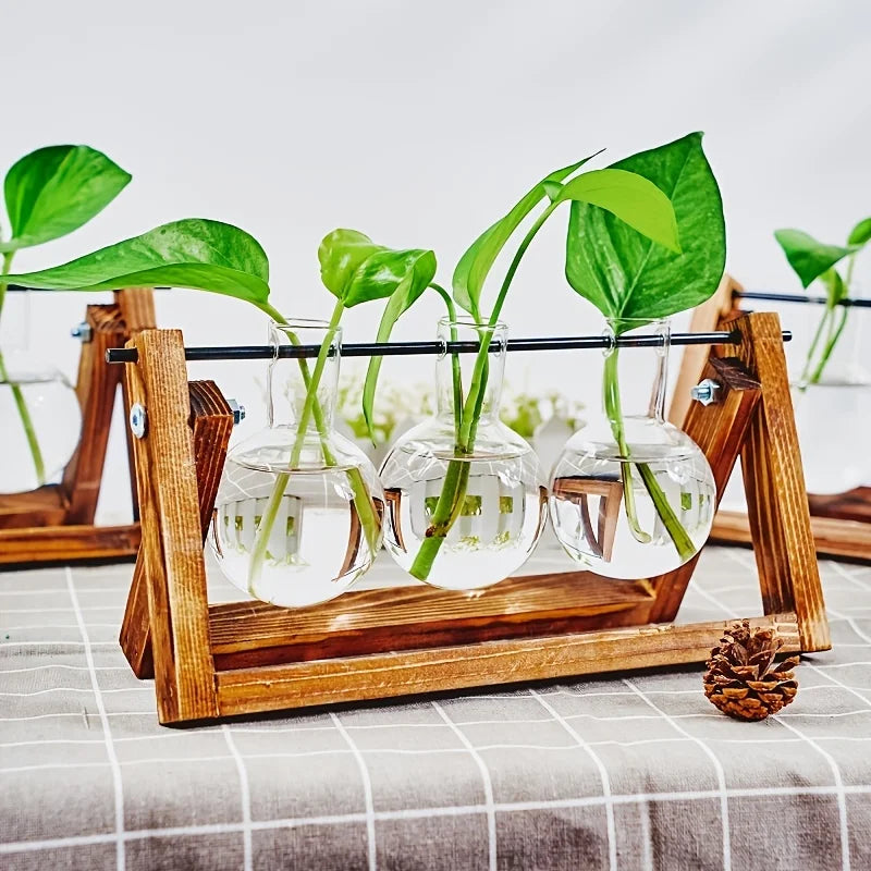 Tabletop Glass Planter Propagation Station with Wooden Rack
