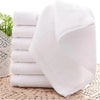 Soft Cotton Terry Cloth Face Towel (25x25 cm)
