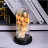 Everlasting Rose LED Glass Dome Bouquet