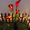 A single red calla lily flower with a yellow stripe is illuminated by solar garden lights against a dark green background.
