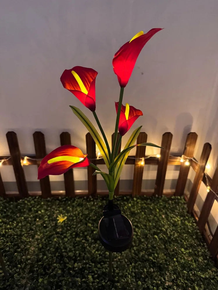 A single red calla lily flower with a yellow stripe is illuminated by solar garden lights against a dark green background.