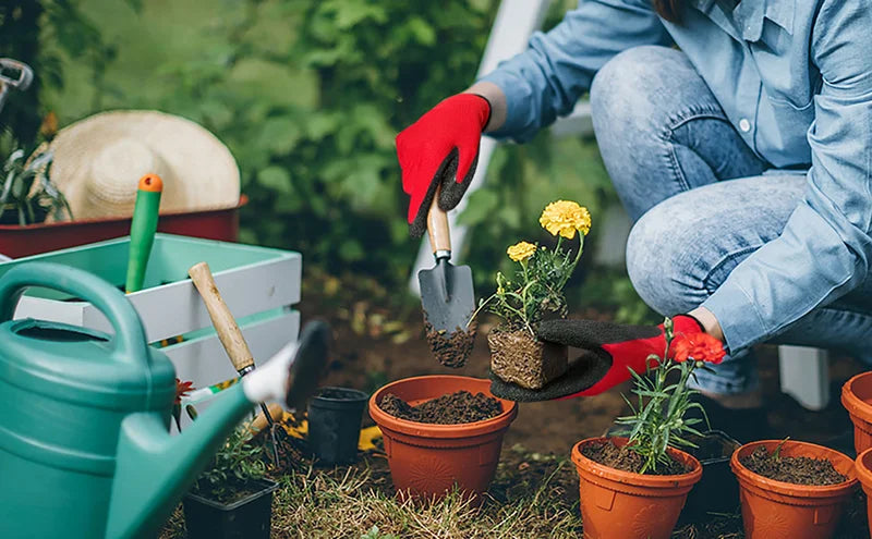 A person wearing red gloves is using a small shovel to plant seedlings in terracotta pots in a garden setting.