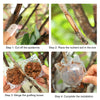 Four steps showing how to use a reusable plant rooting ball for air layering propagation
