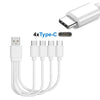 4-in-1 Multi-Charging Cable (20cm)
