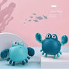 Wind-Up Floating Clownfish Bath Toy
