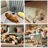 Soft Colorful Duck Plush Toy for Pets