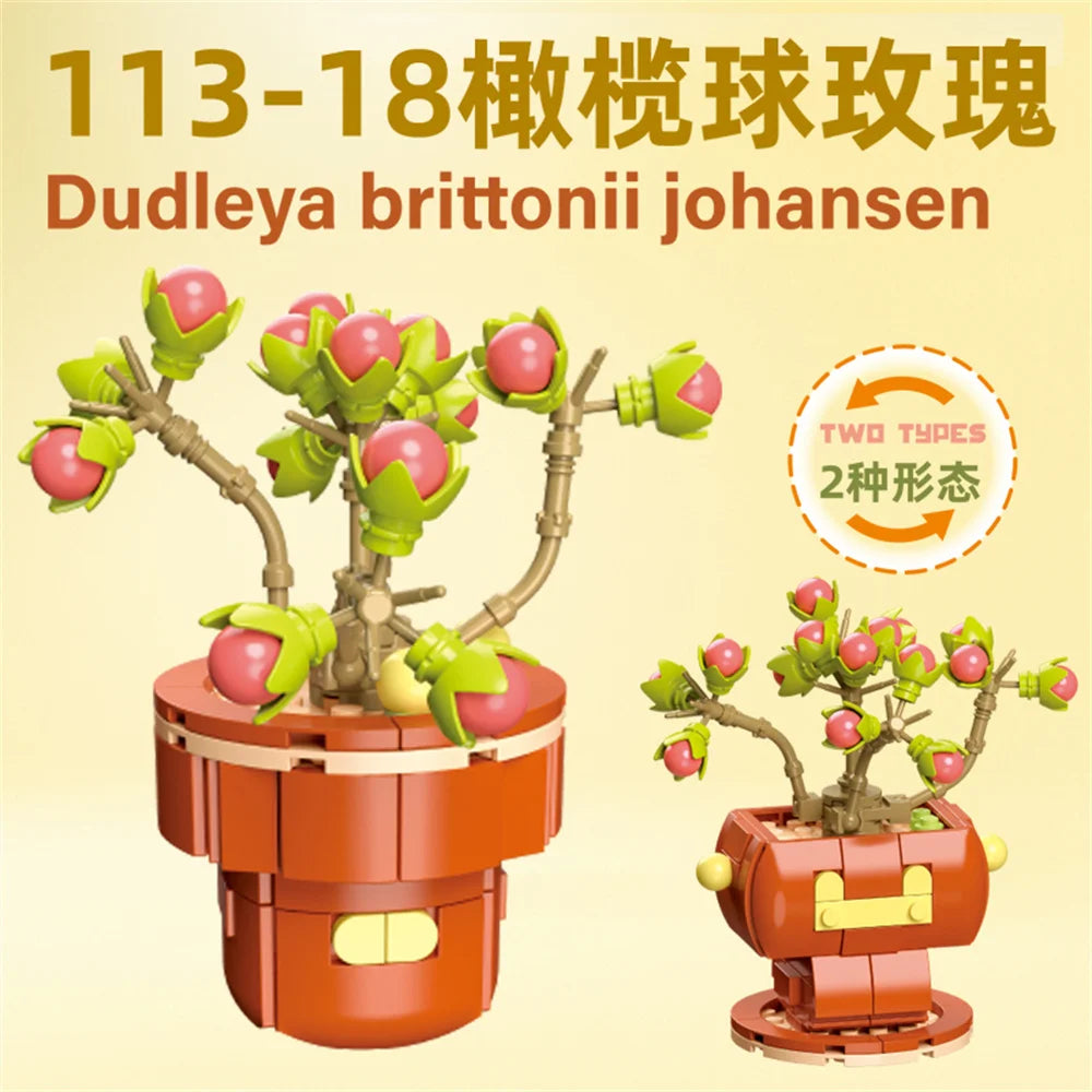 DIY Succulent Plant Building Block Bouquet
