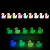 Glow-in-the-Dark Mini Duck Figurines for Garden & Décor