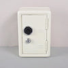 Compact Desktop Safe with Combination Lock