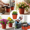 A collection of reusable orange plastic seedling pots used for indoor and outdoor gardening.