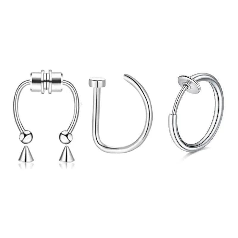 Magnetic Septum Ring Set
