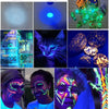 A collection of UV flashlight images showing detection of stains on pets, including cats and various surfaces.