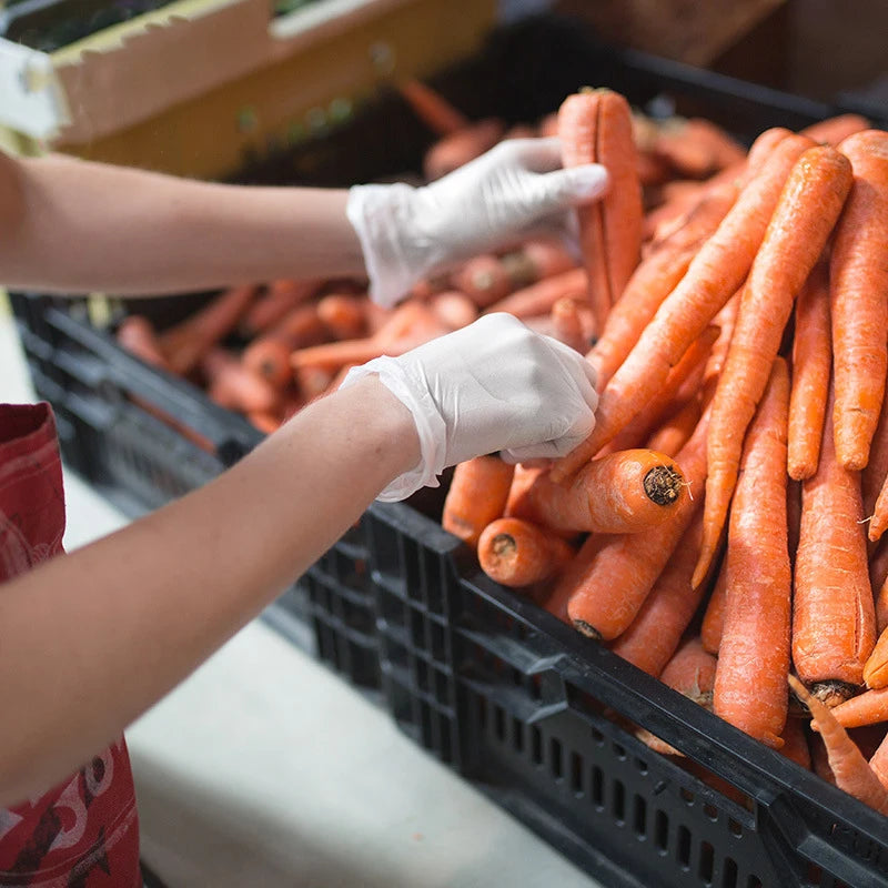 Hands wearing white disposable nitrile gloves are sorting carrots in a black plastic crate.