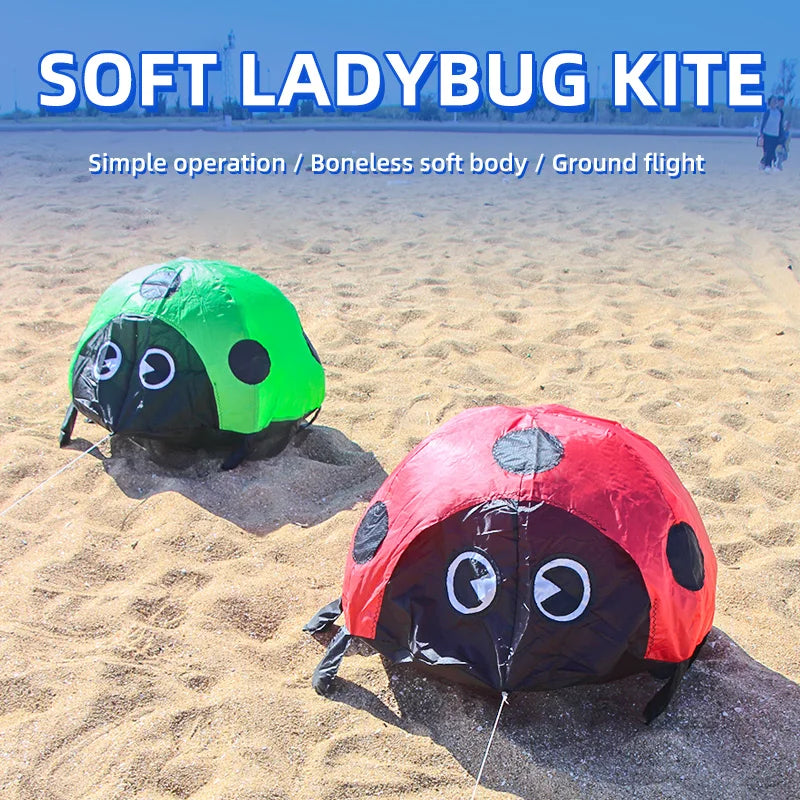 Ladybird Ground Kite for Outdoor Family Fun