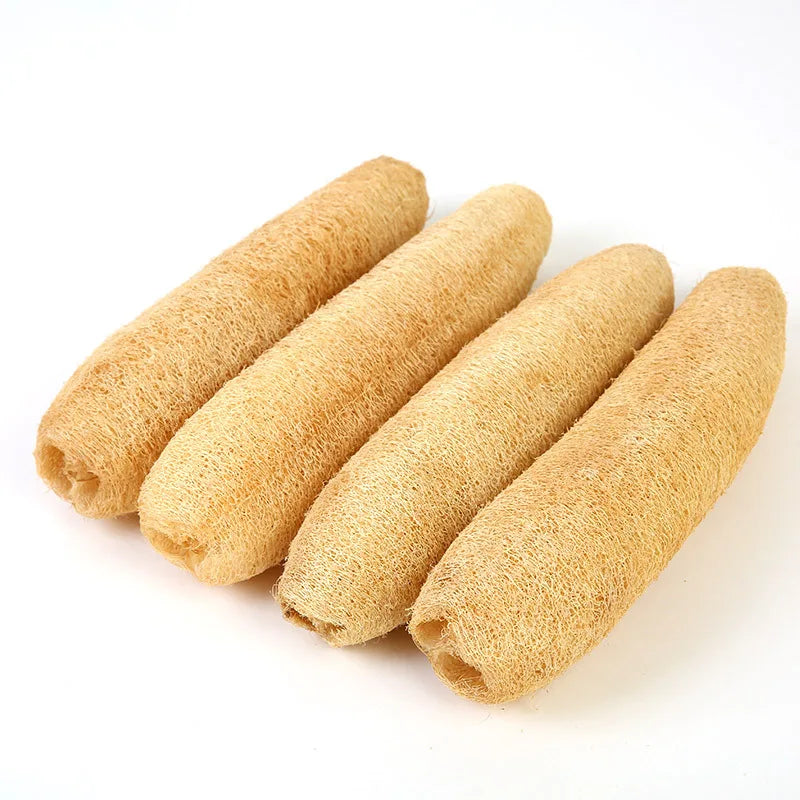 A bundle of natural loofah body scrubbers with hanging ropes, light tan color.
