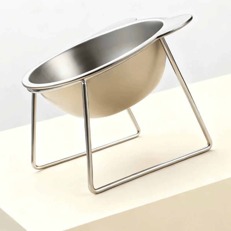 Elevated Stainless Steel Pet Bowl with Angled Feeder