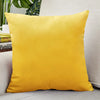 Velvet Throw Pillow Cover for Sofa and Bed Decor