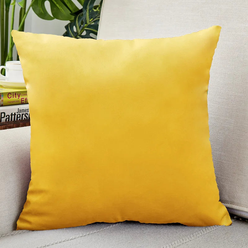 Velvet Throw Pillow Cover for Sofa and Bed Decor
