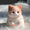A small, fluffy orange and white cat squeeze toy with gold accents resting on a white, furry surface.