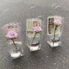 Clear PVC Gift Bags with Handles