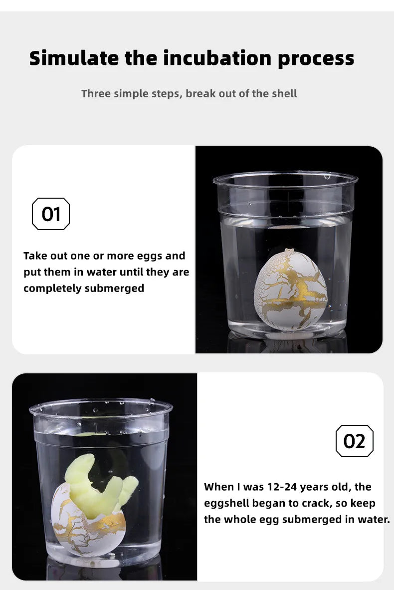 Magic Hatching Dinosaur Eggs – Grow Your Own Dino
