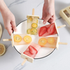 Set de Moldes para Paletas y Helados Caseros con Protección contra Goteo