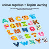 A collection of magnetic alphabet and animal stickers featuring 26 English letters and 26 small animals for learning.