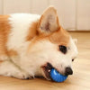 Automatic Interactive Dog Ball