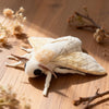 A white and cream Luna moth plush toy resting on a wooden surface with dried plant material.