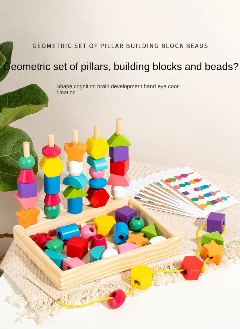 Montessori Wooden Color & Shape Matching Puzzle for Toddlers