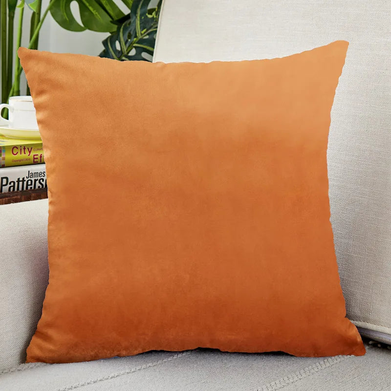 Velvet Throw Pillow Cover for Sofa and Bed Decor