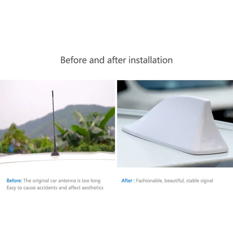 Shark Fin Car Antenna with FM/AM Signal Booster