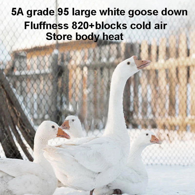 Premium White Goose Down Comforter
