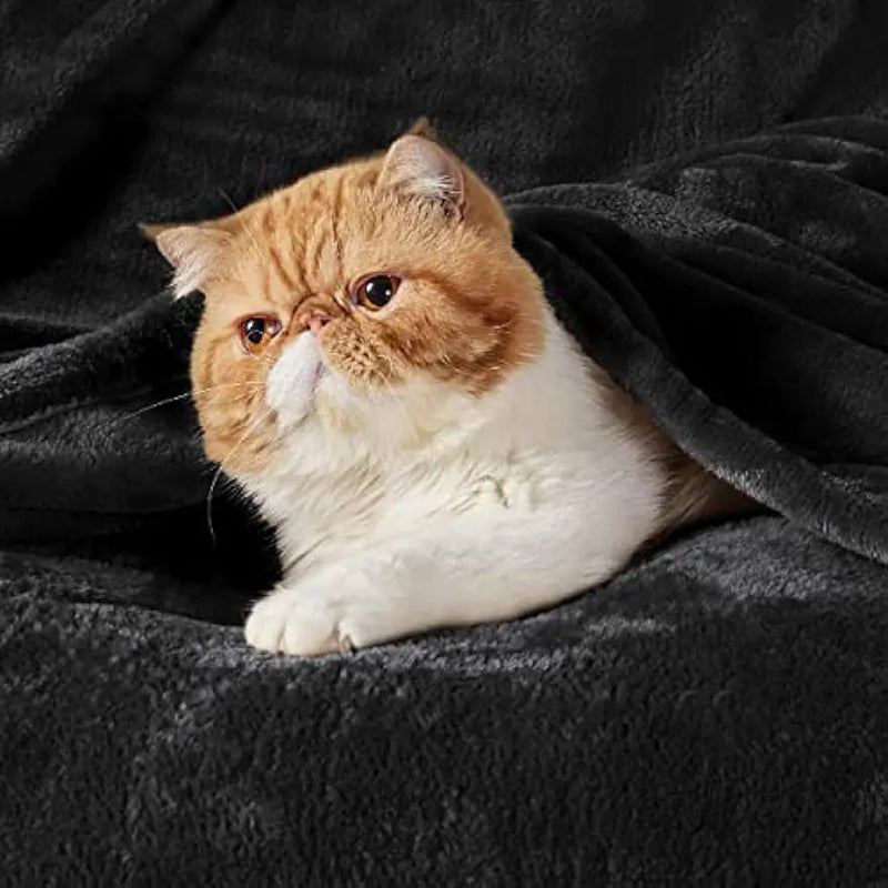 Black Microfiber Fleece Blanket