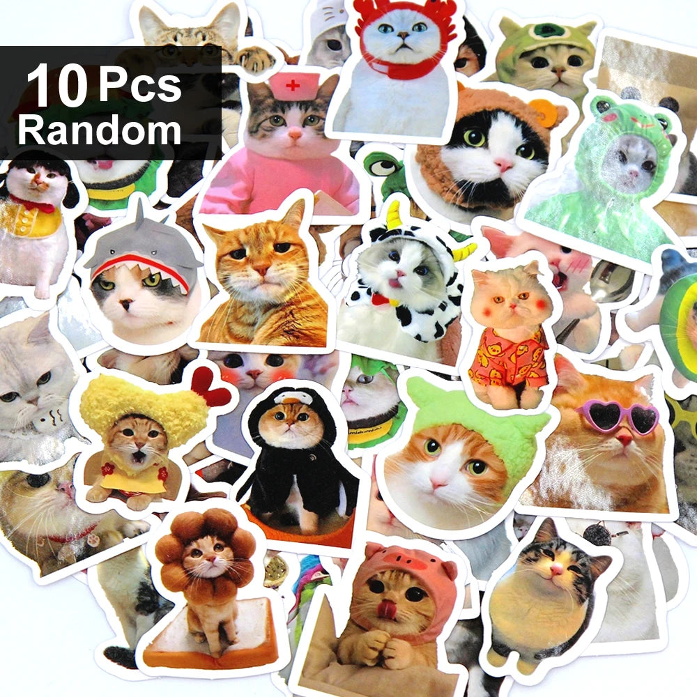 Funny Cat Sticker Pack for Laptops, Water Bottles & More