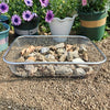 A stainless steel garden soil sieve filled with small rocks and soil, placed on dirt near potted plants.