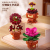 DIY Succulent Plant Building Block Bouquet