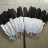 A set of twelve two-color eagle tail feathers, featuring black and white plumage, laid out next to a measuring ruler.