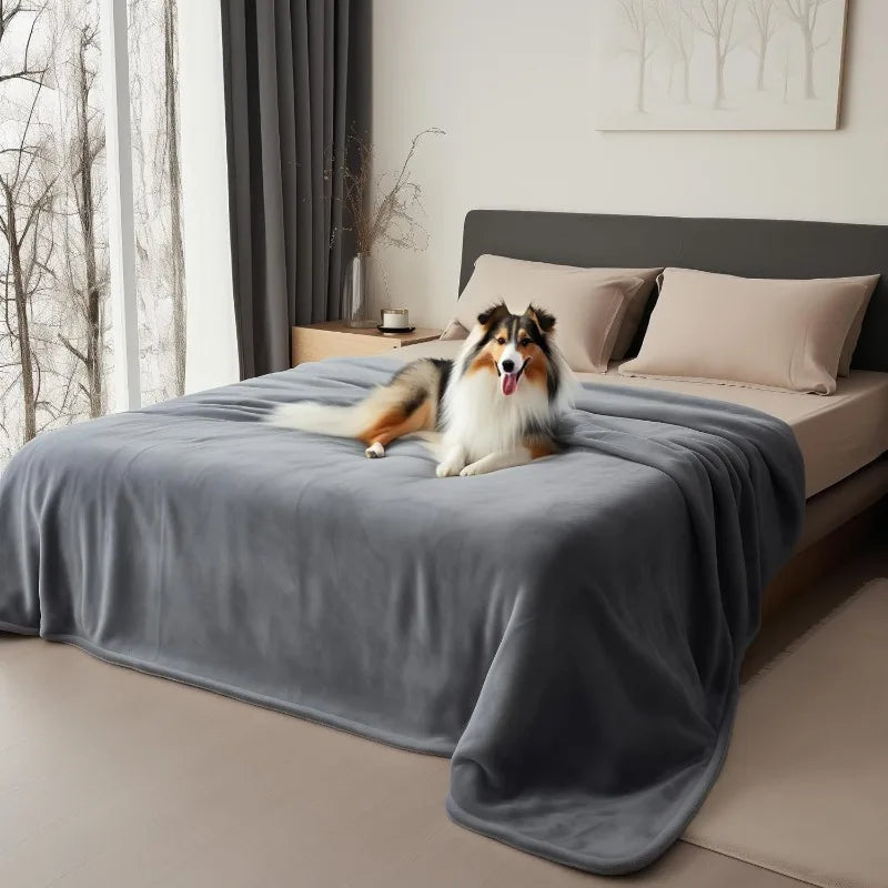 A fluffy dog lies on a gray flannel blanket on a bed in a bright room.