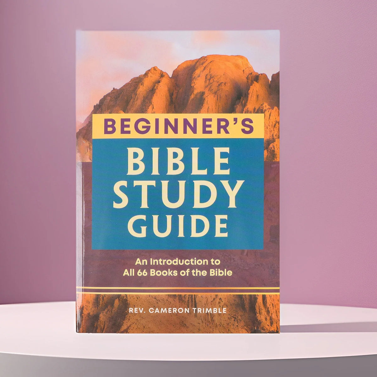 A book titled Beginner's Bible Study Guide with a cover featuring a mountain landscape.