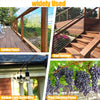 Various outdoor items including a garden fence, stair railings, light guide wire, and plant climbing frame.
