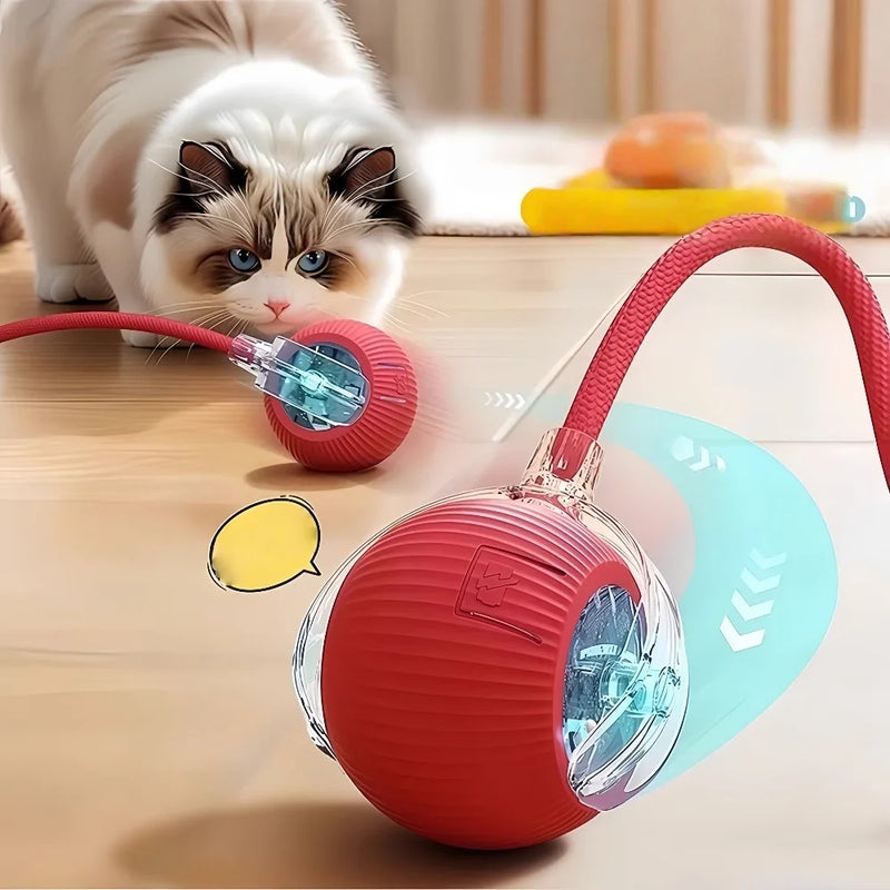 Automatic Interactive Pet Rolling Ball Toy