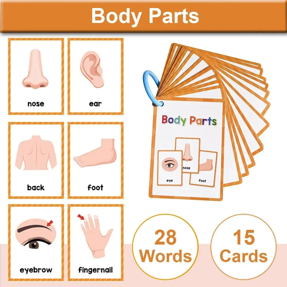 A set of 15 body parts flash cards featuring pictures and words for children.