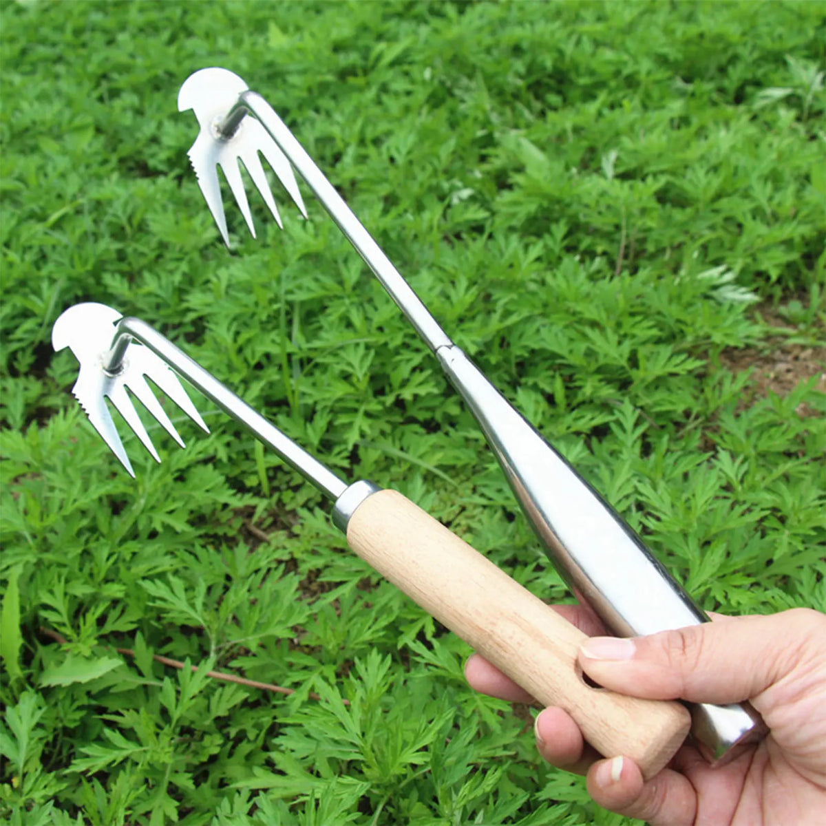 A stainless steel weeding tool with a wooden handle is shown against a background of green grass.