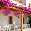 Artificial hanging morning glory flowers in pink and purple cascade from a wooden pergola.